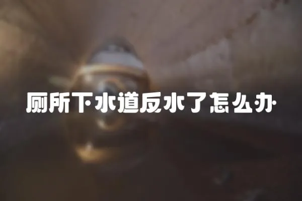 廁所下水道反水了怎么辦