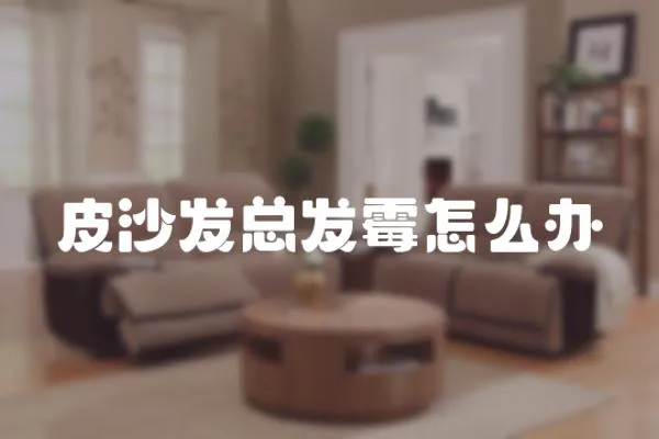 皮沙發總發霉怎么辦