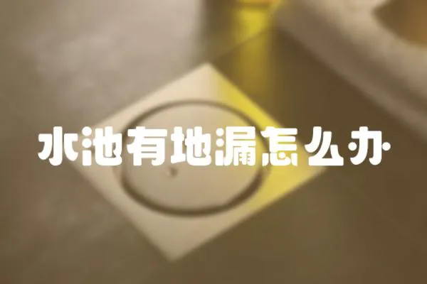 水池有地漏怎么辦