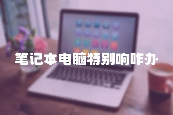 筆記本電腦特別響咋辦