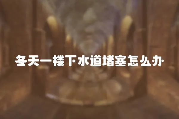 冬天一樓下水道堵塞怎么辦