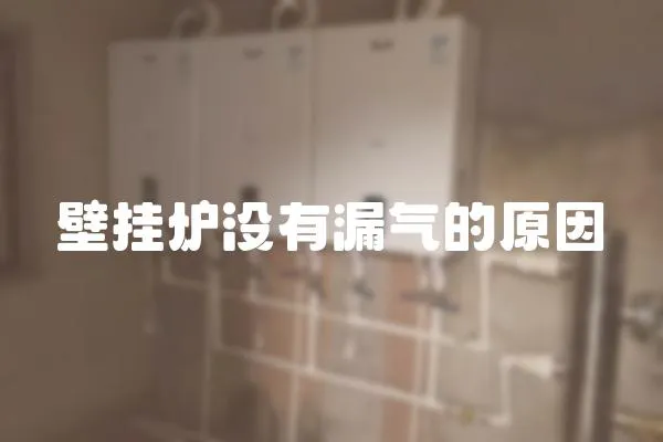 壁掛爐沒有漏氣的原因