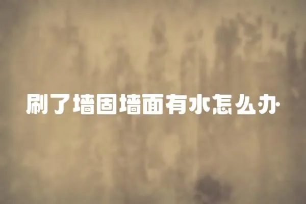 刷了墻固墻面有水怎么辦