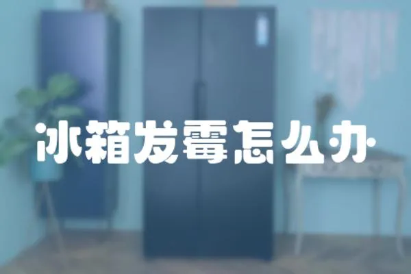 冰箱發(fā)霉怎么辦