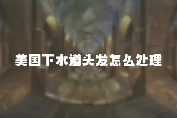 美國下水道頭發(fā)怎么處理