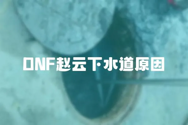 DNF趙云下水道原因