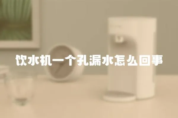 飲水機一個孔漏水怎么回事