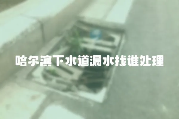 哈爾濱下水道漏水找誰處理