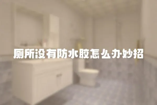 廁所沒有防水膠怎么辦妙招