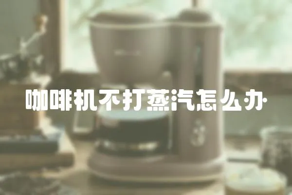 咖啡機不打蒸汽怎么辦
