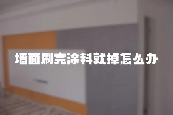 墻面刷完涂料就掉怎么辦