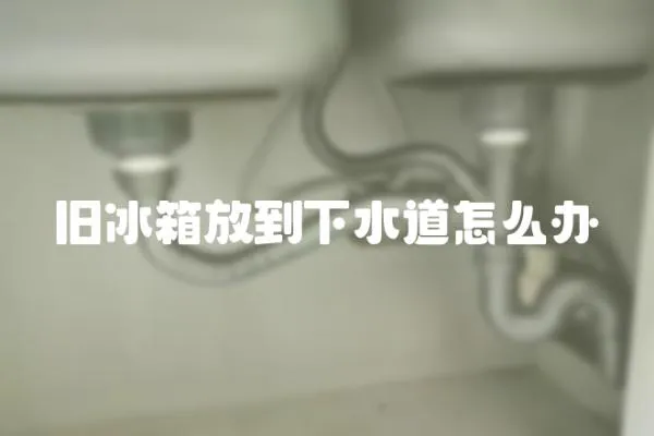 舊冰箱放到下水道怎么辦
