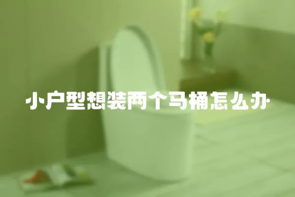 小戶型想裝兩個馬桶怎么辦