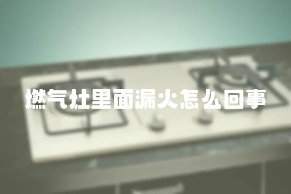 燃?xì)庠罾锩媛┗鹪趺椿厥?></a></div>
                    </div>
                    <div   id=