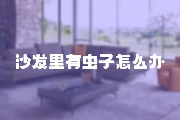 沙發里有蟲子怎么辦