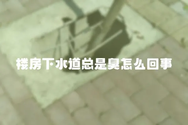 樓房下水道總是臭怎么回事