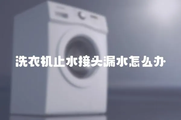 洗衣機止水接頭漏水怎么辦