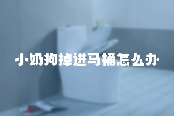 小奶狗掉進馬桶怎么辦