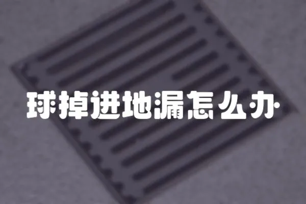 球掉進(jìn)地漏怎么辦