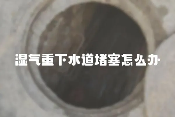 濕氣重下水道堵塞怎么辦