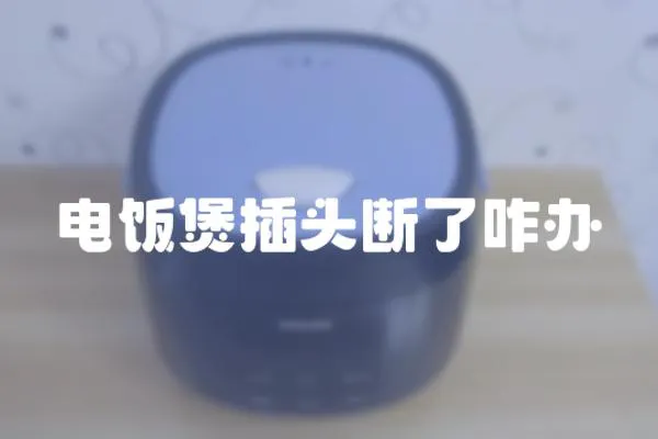 電飯煲插頭斷了咋辦
