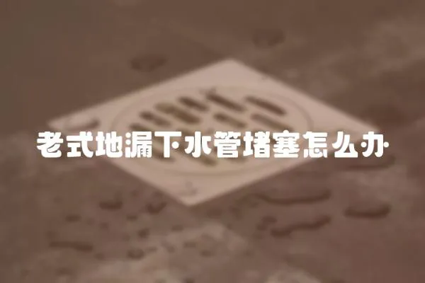 老式地漏下水管堵塞怎么辦