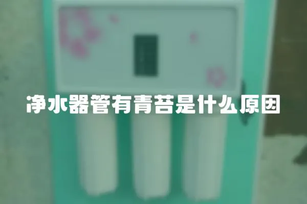 凈水器管有青苔是什么原因