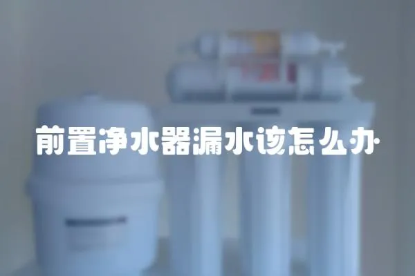 前置凈水器漏水該怎么辦