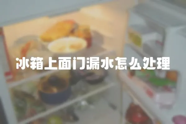冰箱上面門漏水怎么處理