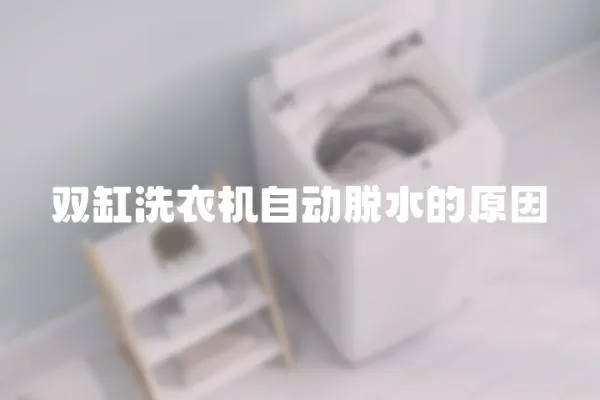 雙缸洗衣機自動脫水的原因