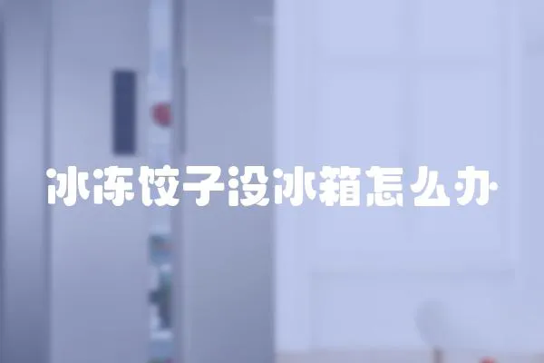 冰凍餃子沒冰箱怎么辦