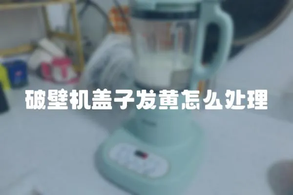 破壁機蓋子發黃怎么處理