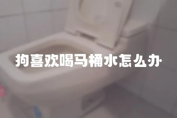狗喜歡喝馬桶水怎么辦