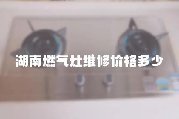 湖南燃气灶维修价格多少