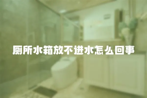 廁所水箱放不進水怎么回事