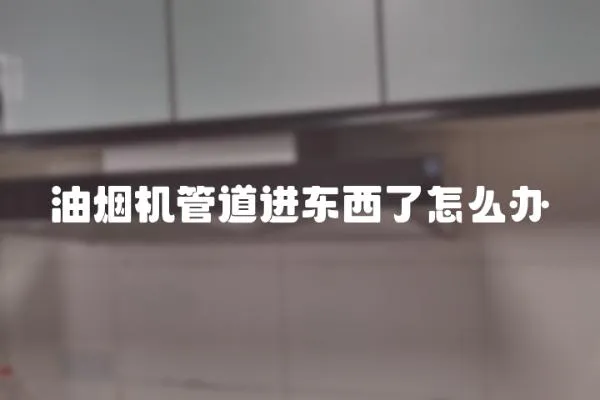 油煙機管道進東西了怎么辦