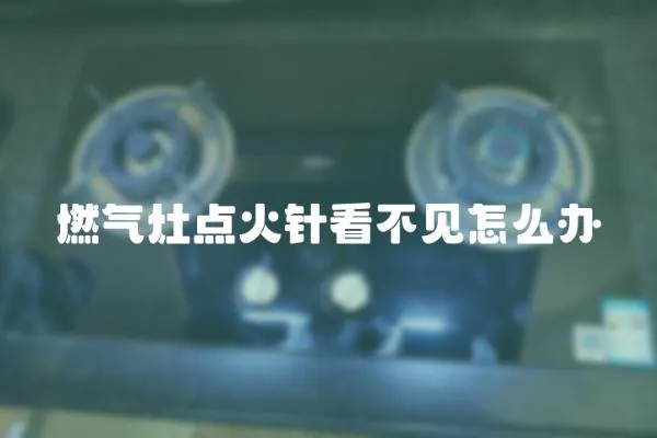 燃氣灶點火針看不見怎么辦