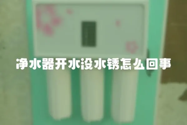 凈水器開水沒水銹怎么回事