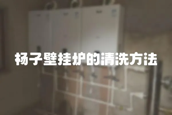 楊子壁掛爐的清洗方法