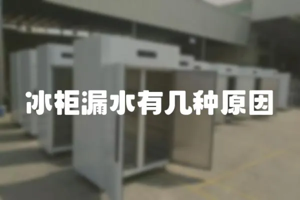 冰柜漏水有幾種原因
