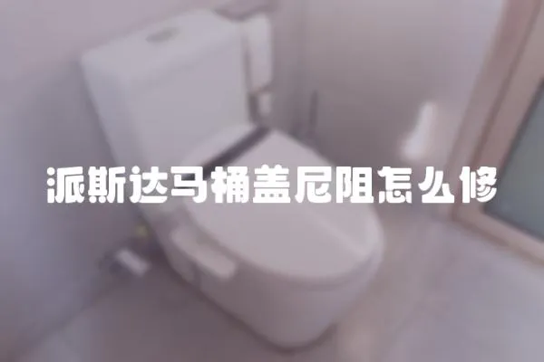 派斯達(dá)馬桶蓋尼阻怎么修