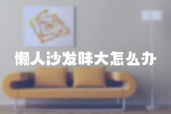 懶人沙發(fā)味大怎么辦