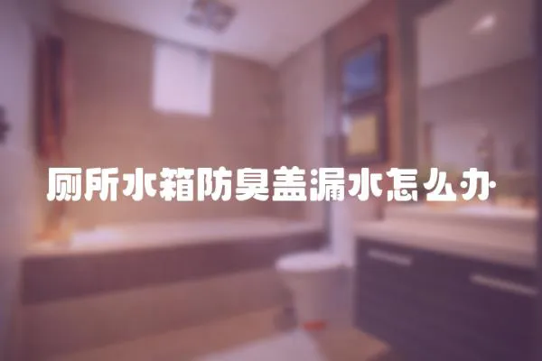 廁所水箱防臭蓋漏水怎么辦