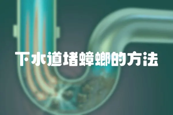 下水道堵蟑螂的方法
