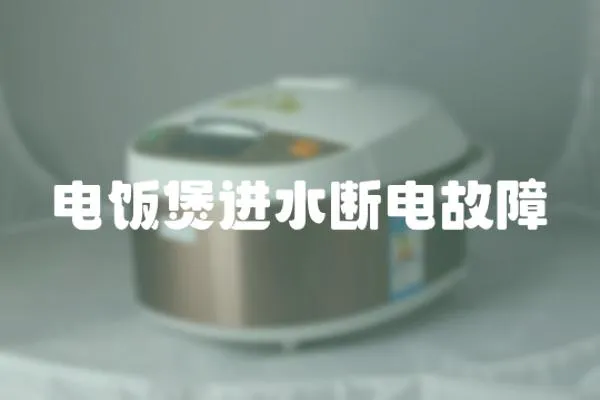 電飯煲進水斷電故障