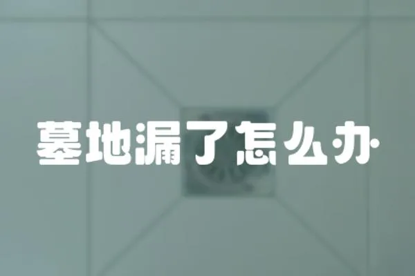 墓地漏了怎么辦