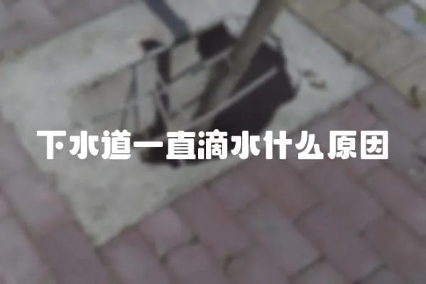 下水道一直滴水什么原因