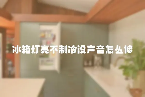 冰箱燈亮不制冷沒聲音怎么修