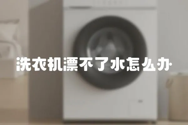 洗衣機(jī)漂不了水怎么辦