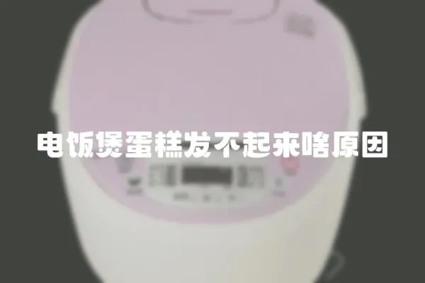 電飯煲蛋糕發不起來啥原因